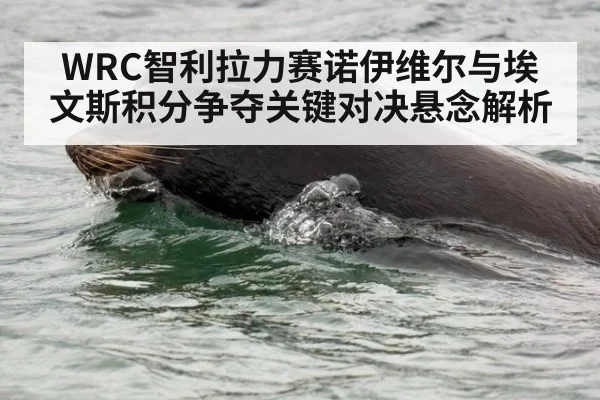 WRC智利拉力赛诺伊维尔与埃文斯积分争夺关键对决悬念解析